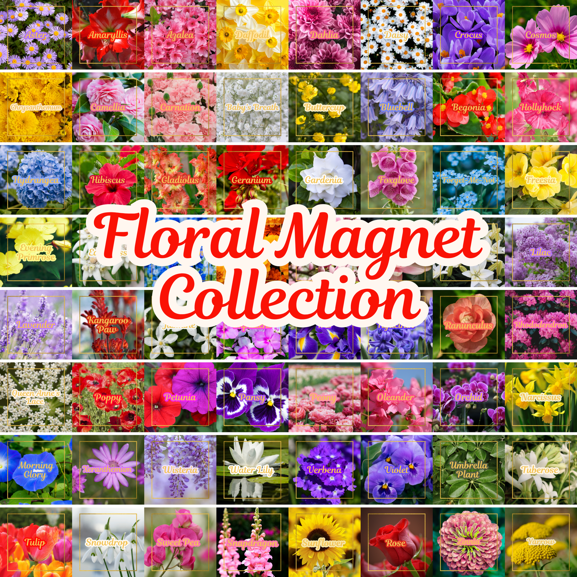 Botanical Flower Magnets