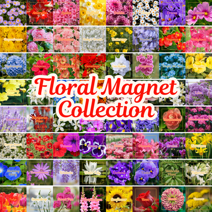 Botanical Flower Magnets