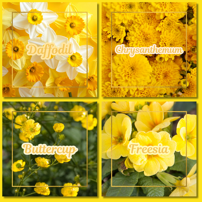 Botanical Flower Magnets