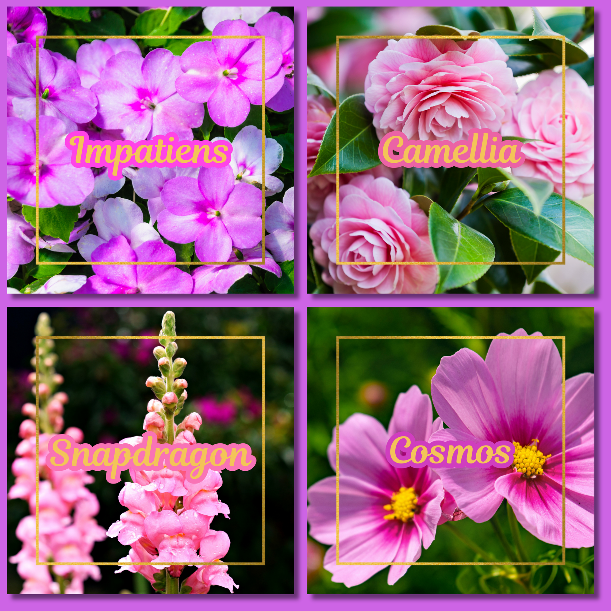 Botanical Flower Magnets