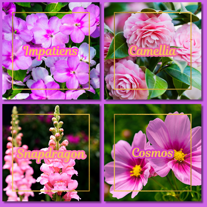 Botanical Flower Magnets