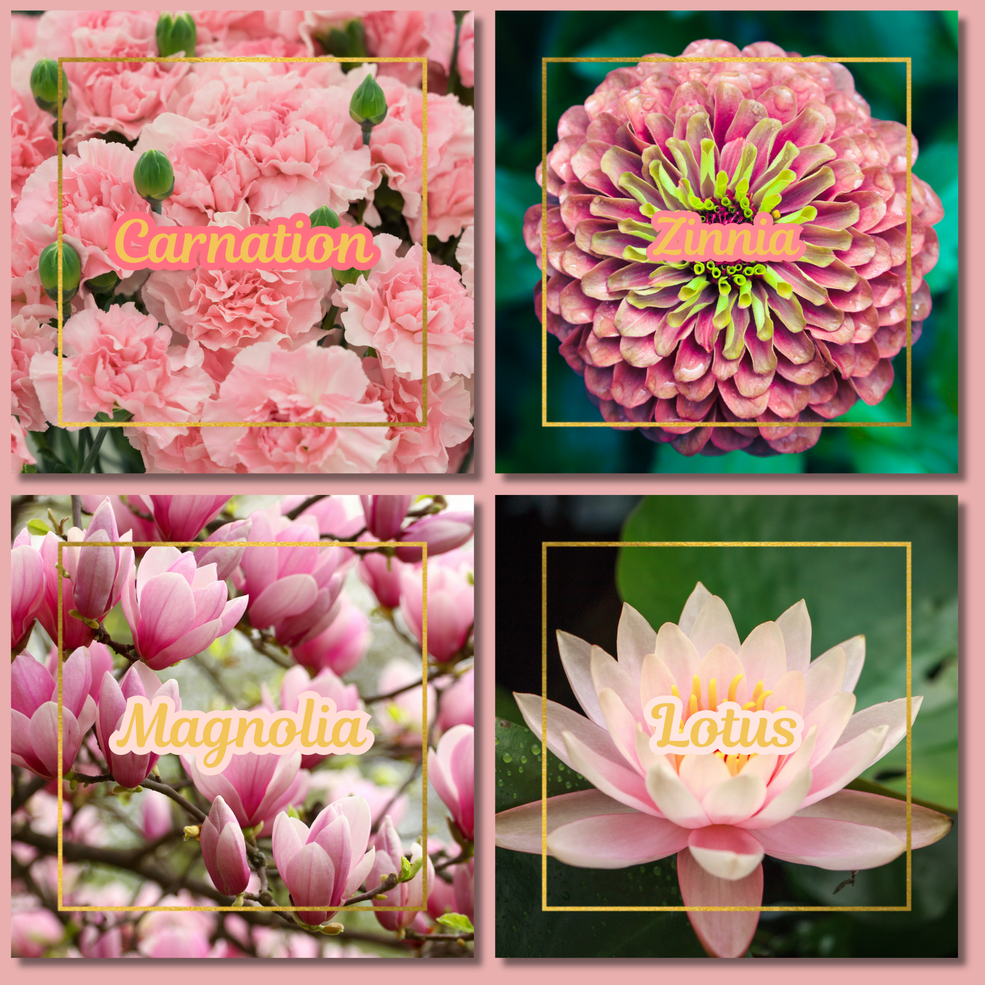 Botanical Flower Magnets