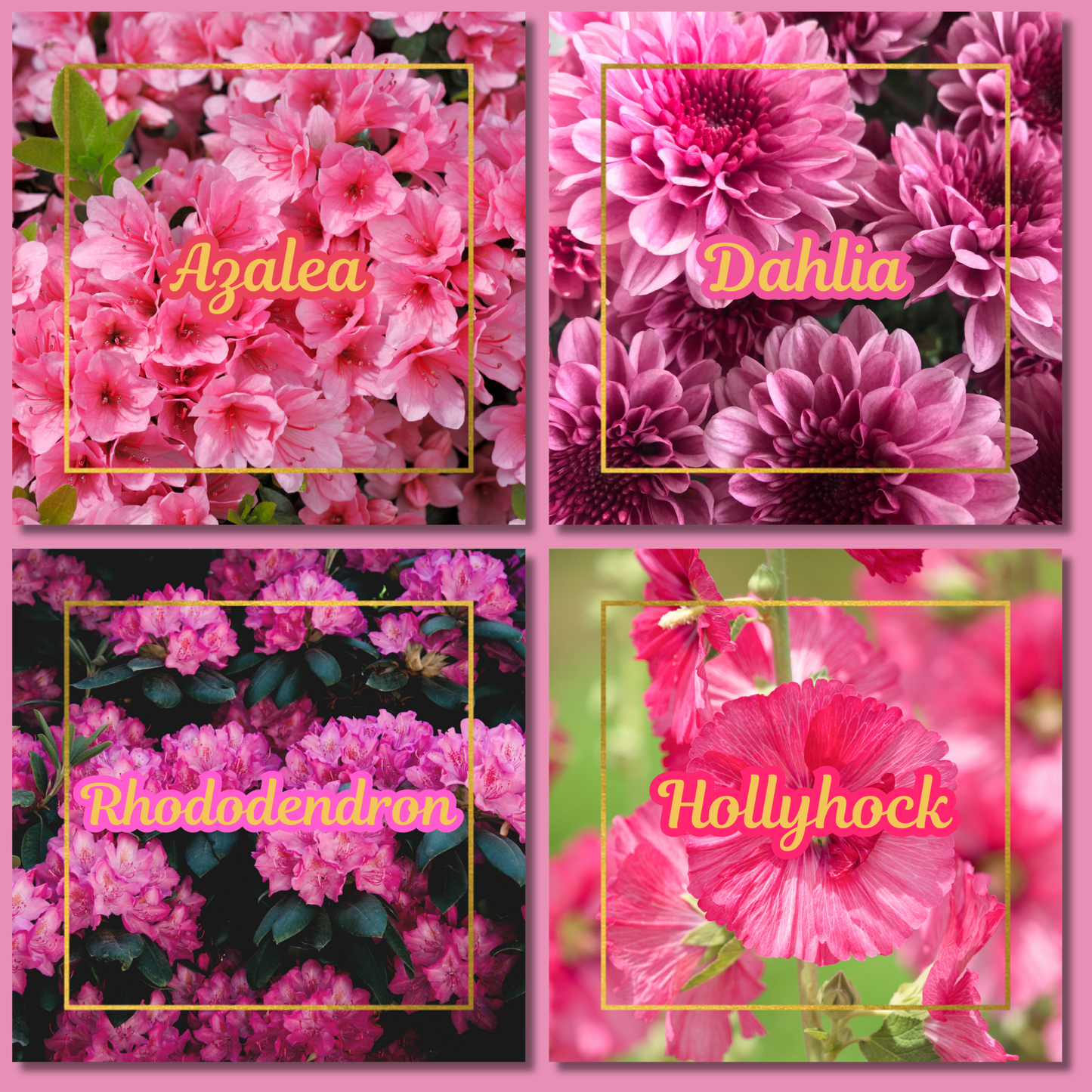 Botanical Flower Magnets