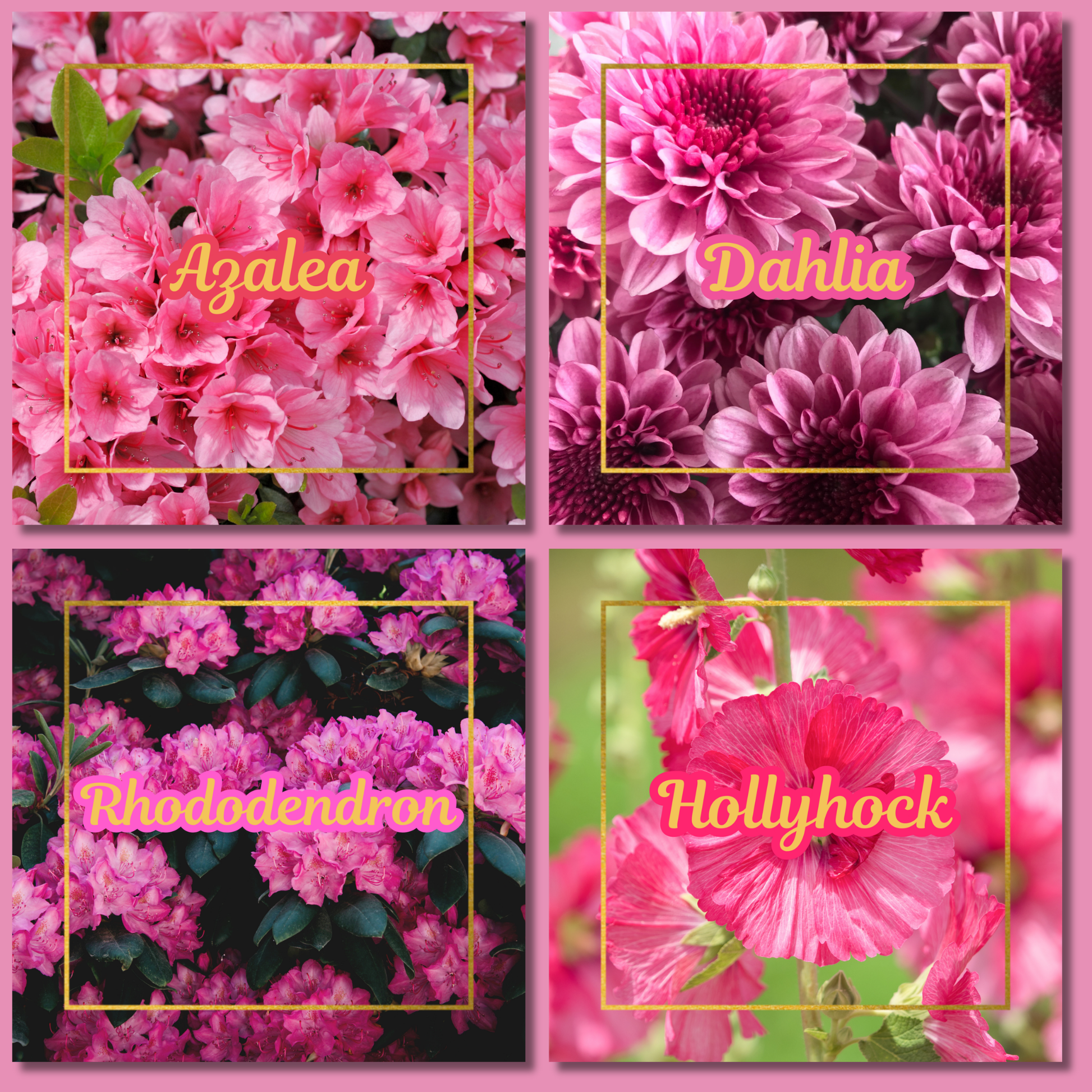Botanical Flower Magnets