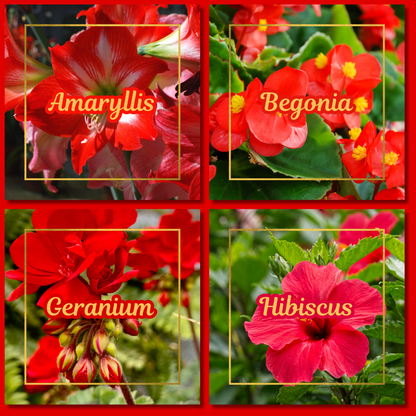 Botanical Flower Magnets