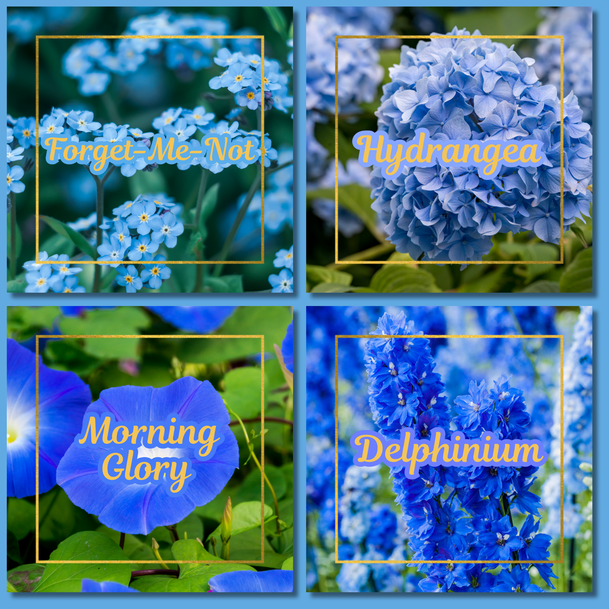 Botanical Flower Magnets