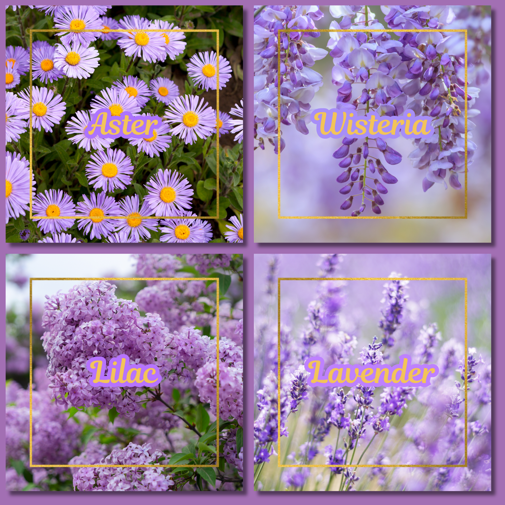 Botanical Flower Magnets