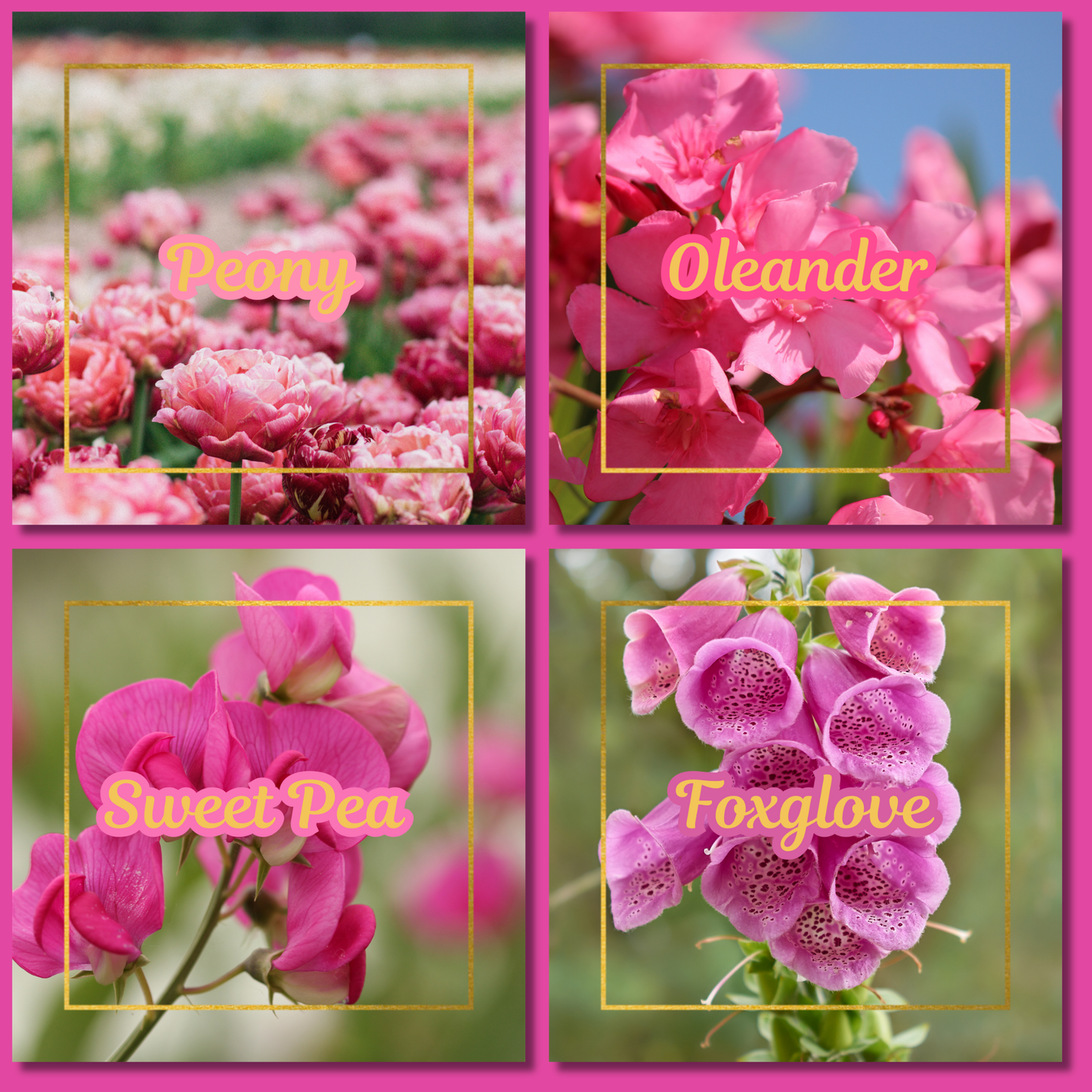 Botanical Flower Magnets