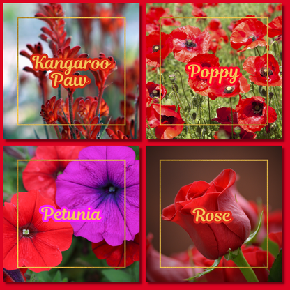 Botanical Flower Magnets