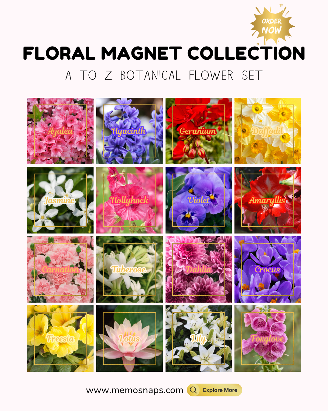 Botanical Flower Magnets