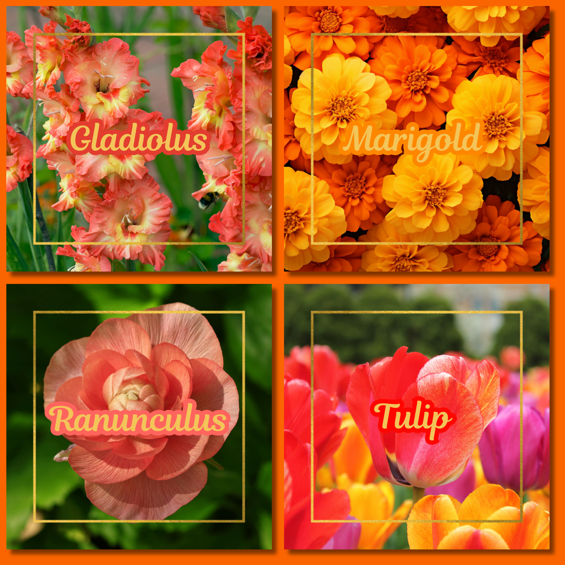 Botanical Flower Magnets