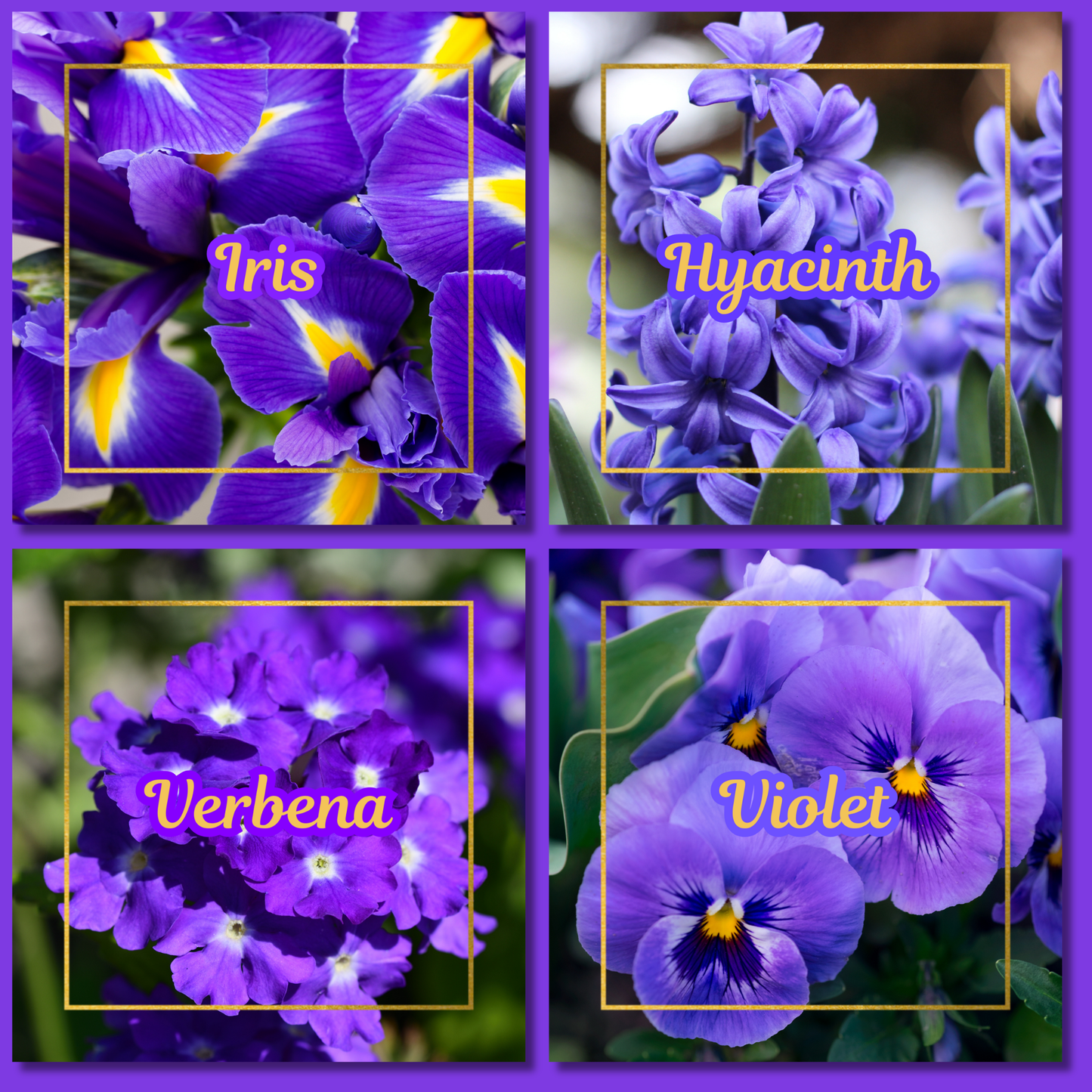 Botanical Flower Magnets