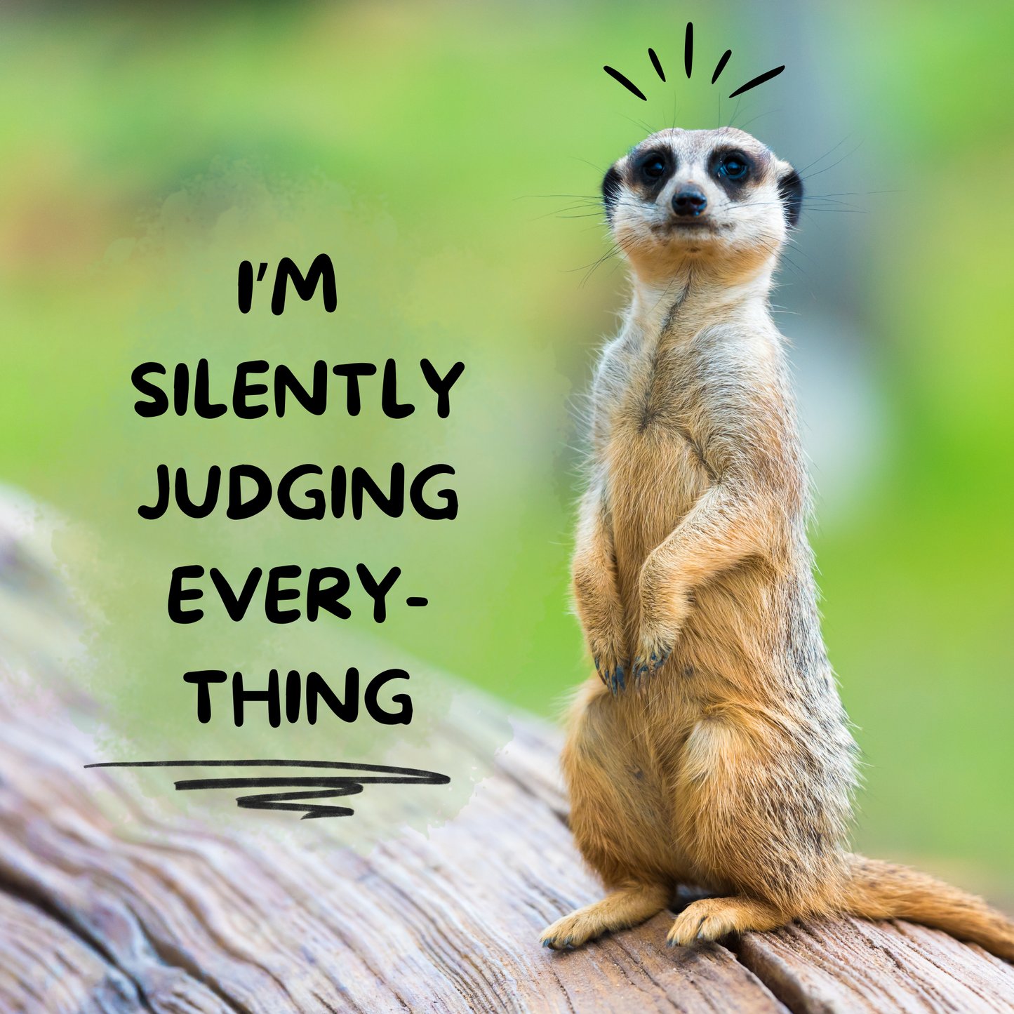 Funny Quotes Fridge Magnets