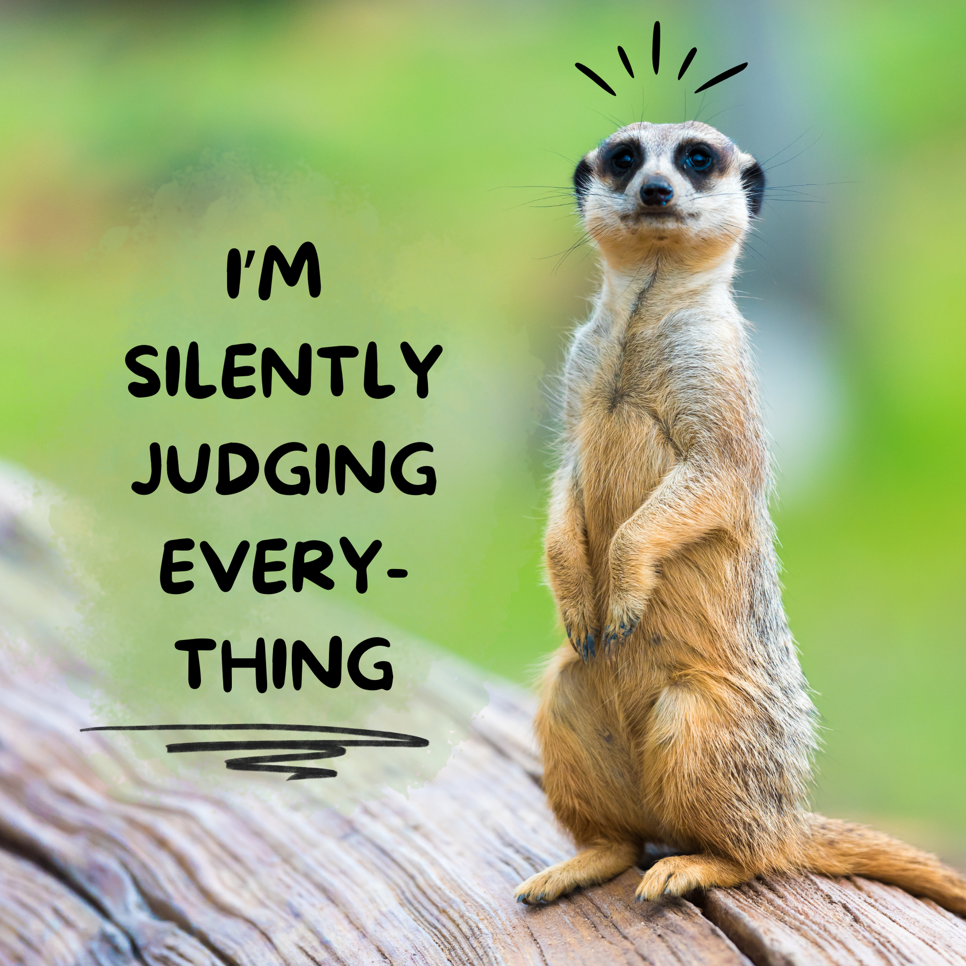 Funny Quotes Fridge Magnets