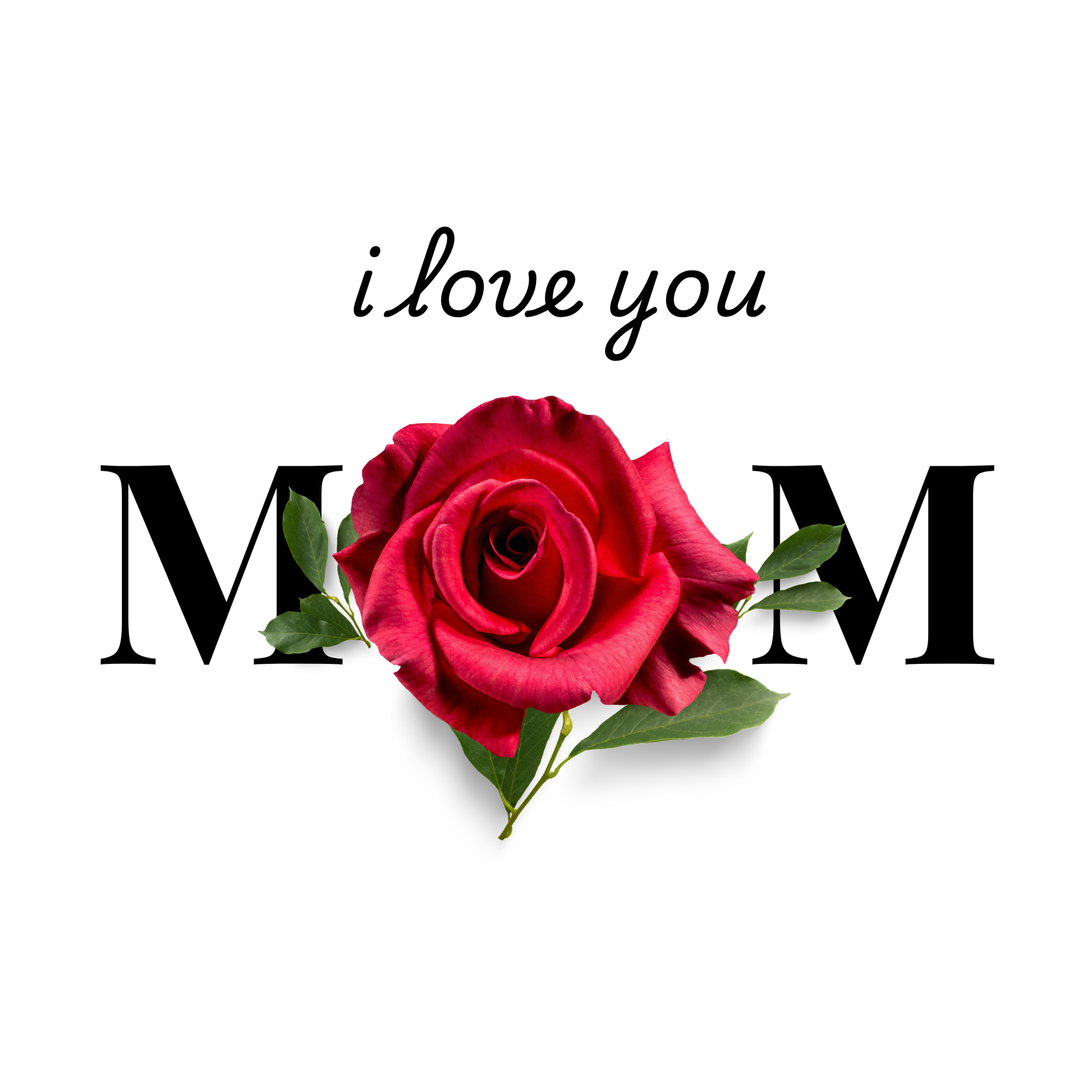 Mothers Day Celebration Fridge Magnet Gifts